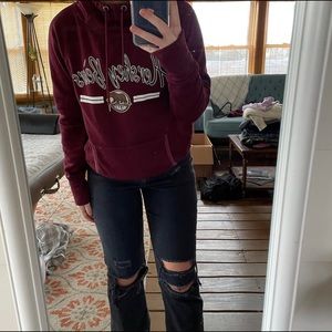 Hershey Bears Hockey hoodie